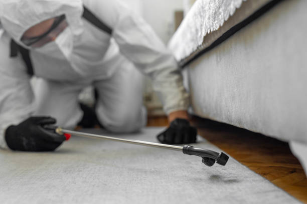Professional Pest Control technician working in Lannon, WI
