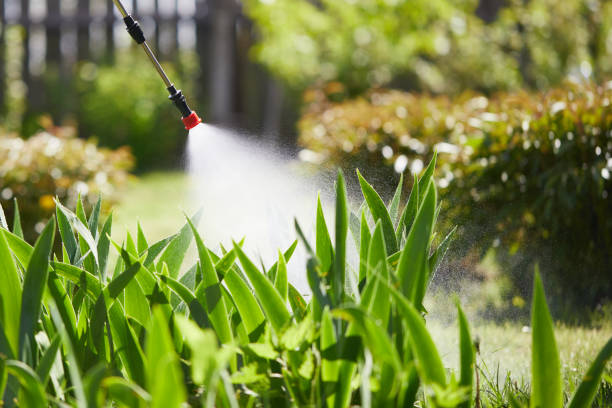 24/7 Emergency Termite Control experts in Lannon, WI