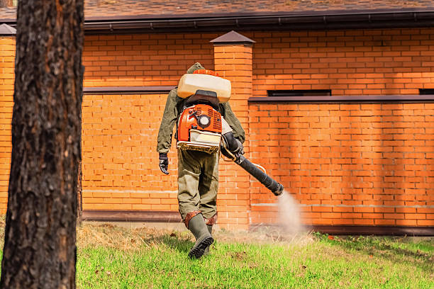 Trusted Bed Bug Control service in Lannon, WI - Nex Pest Control